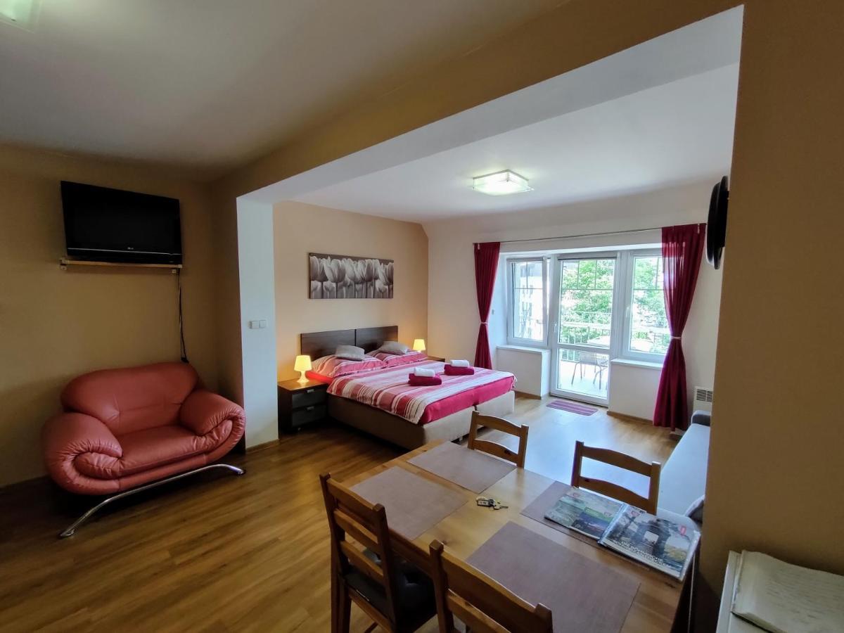 Bohemica Apartments Decin Exterior photo
