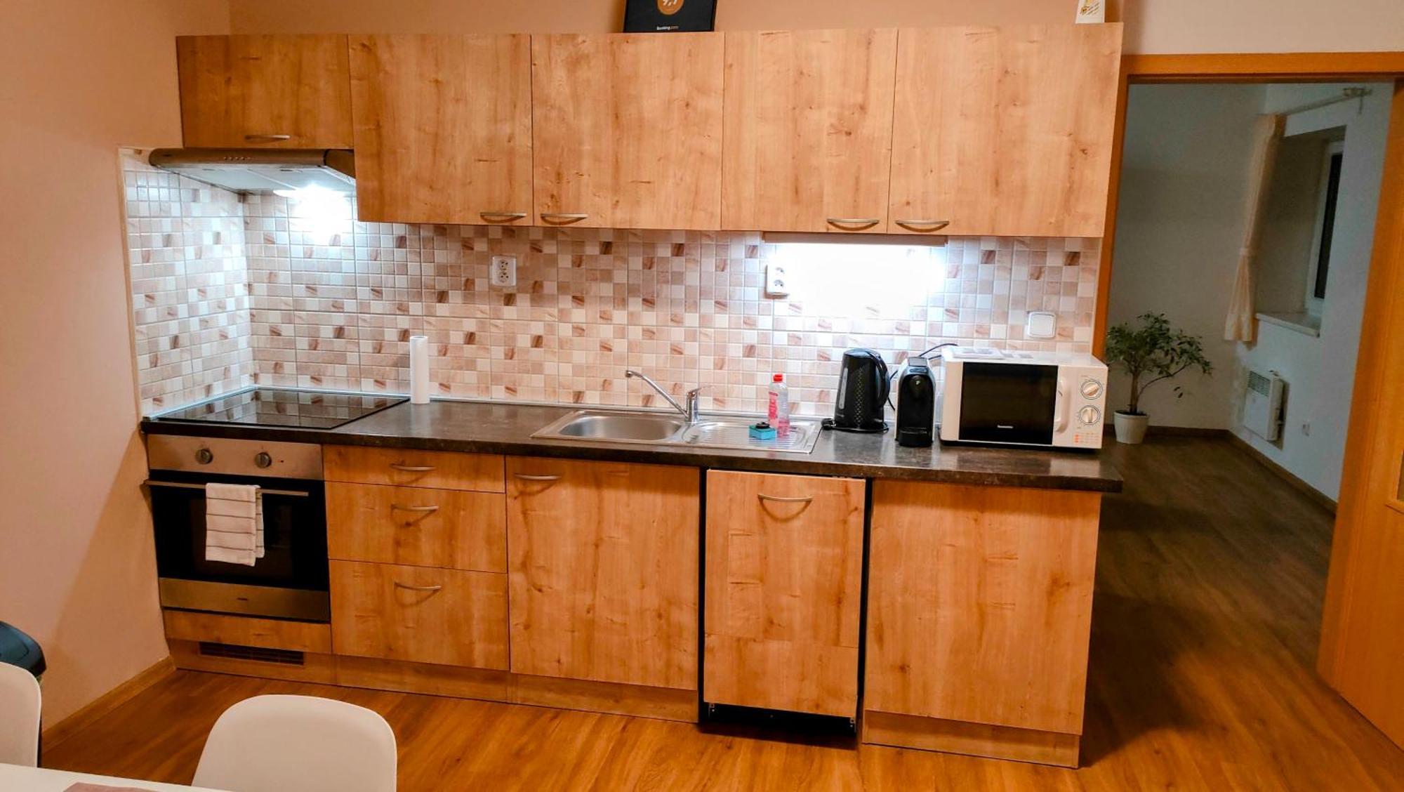 Bohemica Apartments Decin Room photo