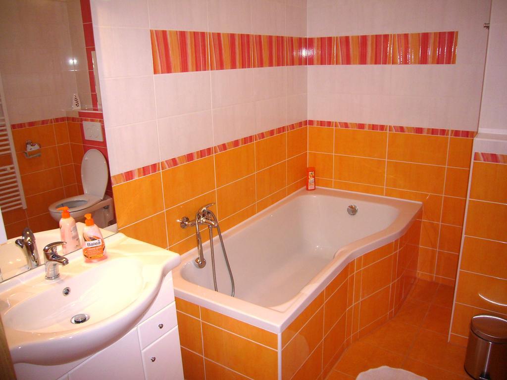 Bohemica Apartments Decin Exterior photo