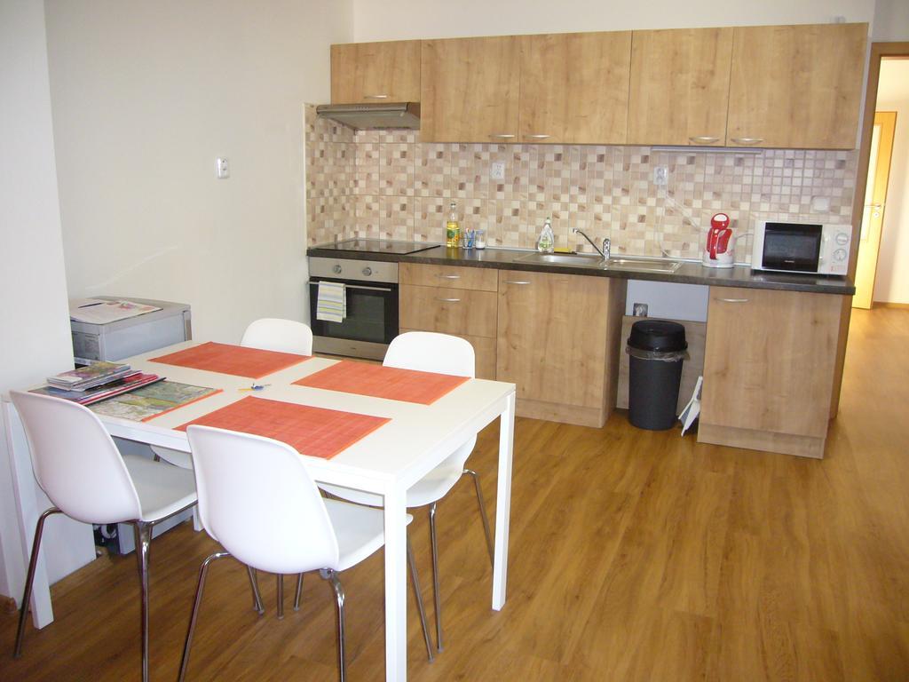 Bohemica Apartments Decin Exterior photo